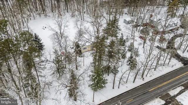 a view of road and trees