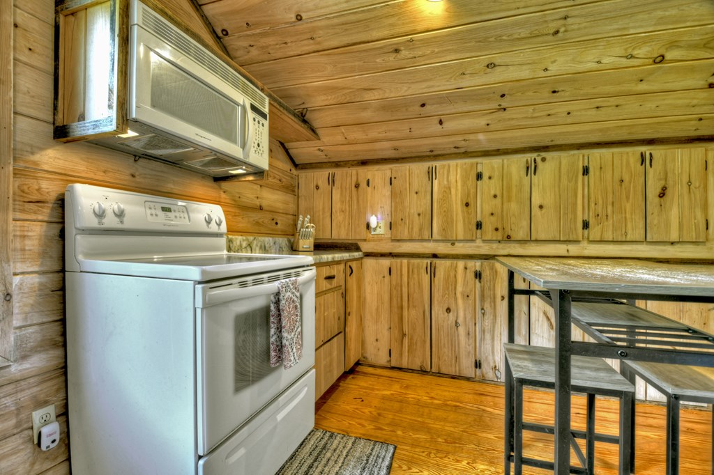 241 Dunn Mill Creek Road Blue Ridge, GA 30513 - Photo 43 of 97 Gallery Image 43