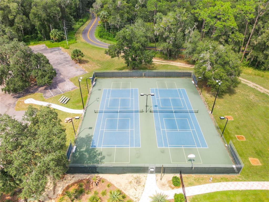 10043 Southwest 202nd Circle Dunnellon, FL 34431 - Photo 56 of 68