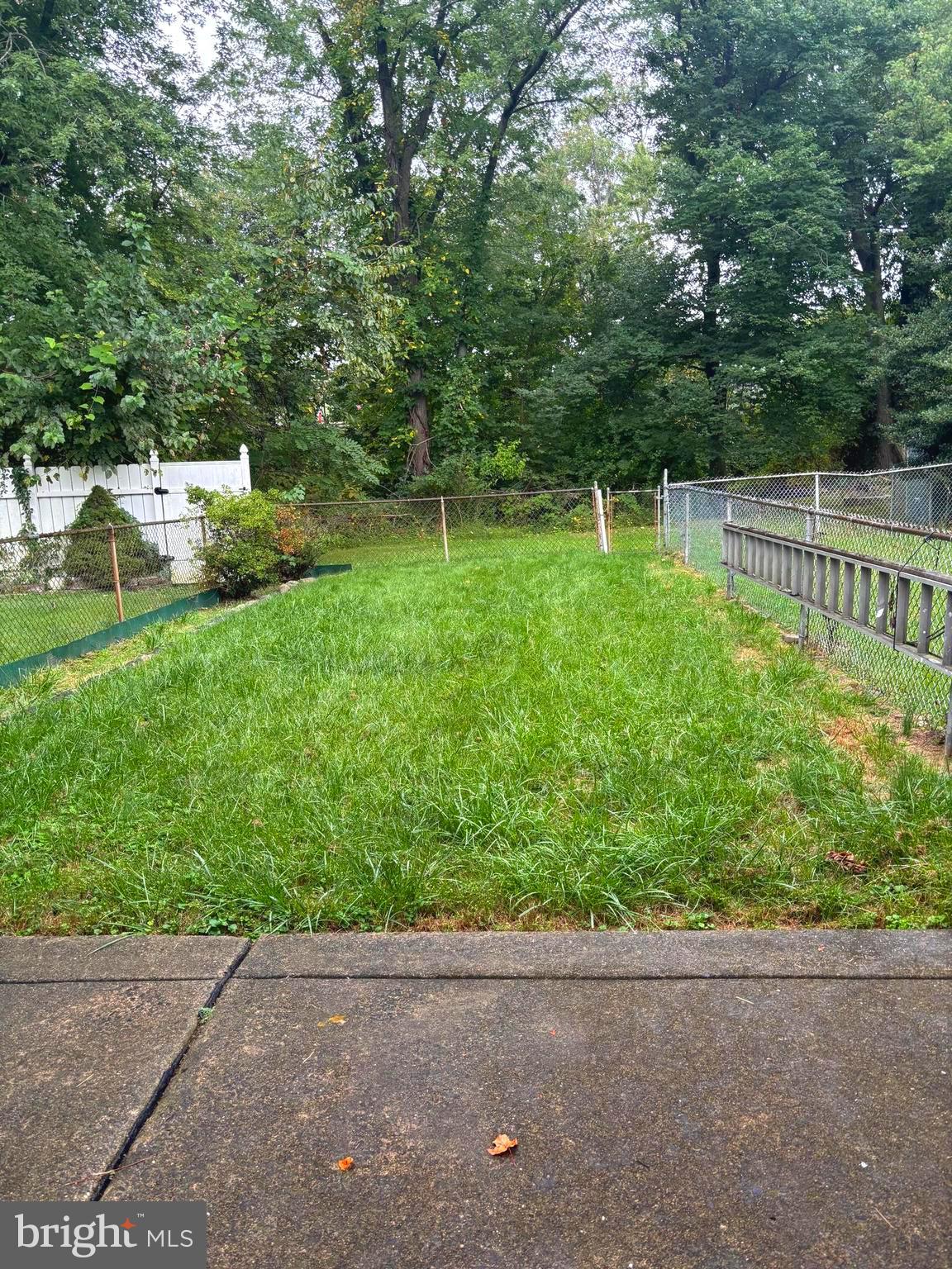 12517 Ramer Road Philadelphia, PA 19154 - Photo 21 of 24 a garden view with a seating space