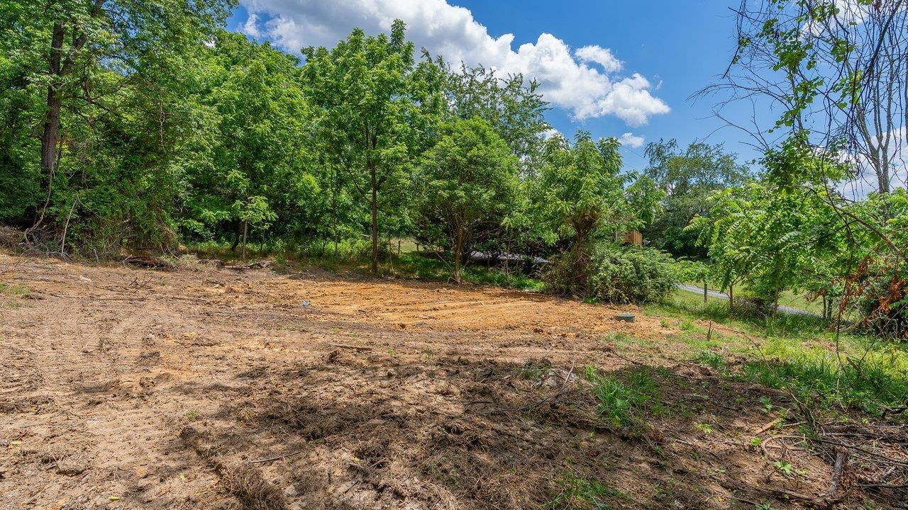 456 Dabneys Road Raphine, VA 24472 - Photo 7 of 24
