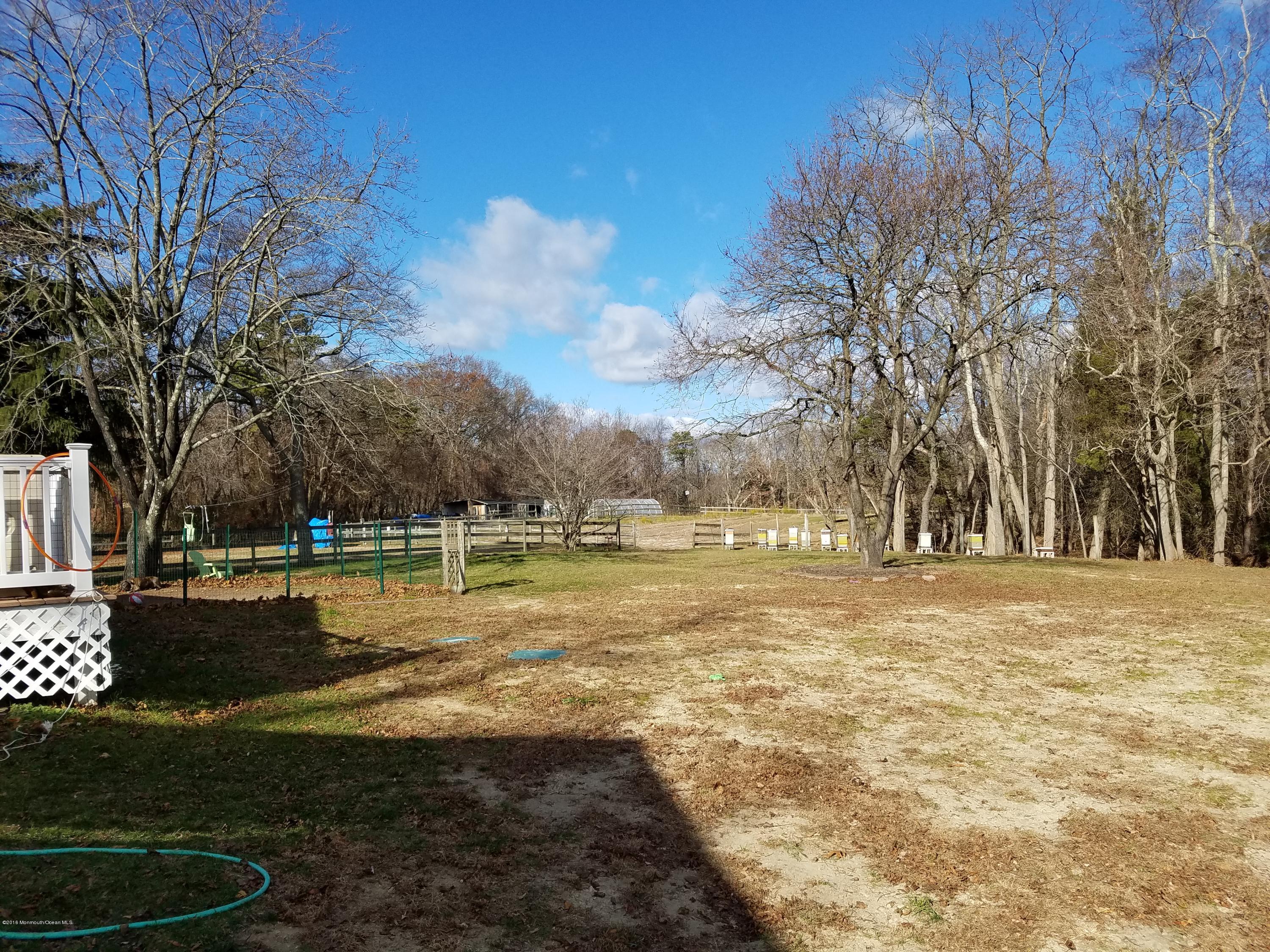 117 Maxim Road Howell, NJ 07731 - Photo 20 of 28 a view of a yard with a fountain