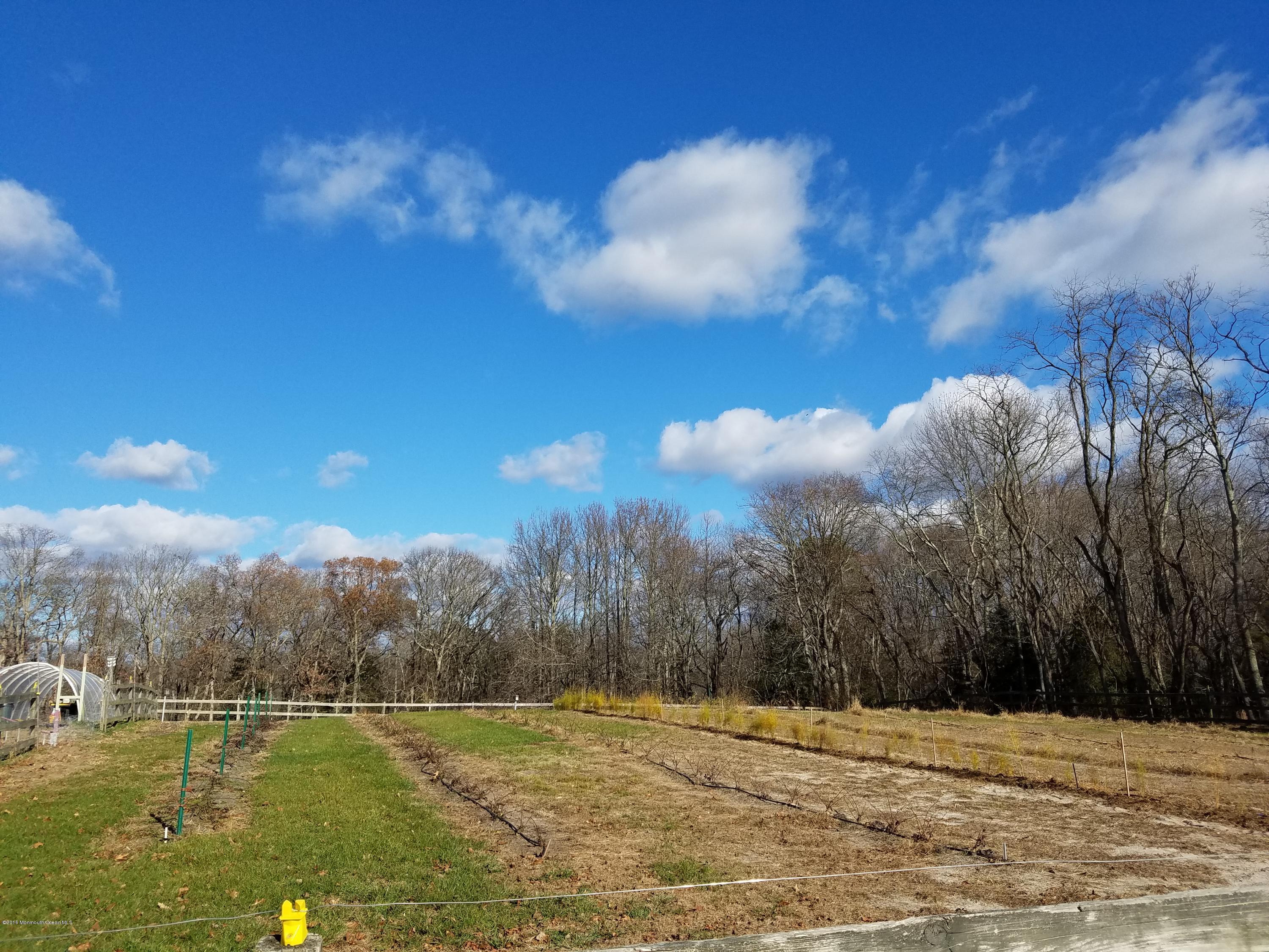 117 Maxim Road Howell, NJ 07731 - Photo 25 of 28