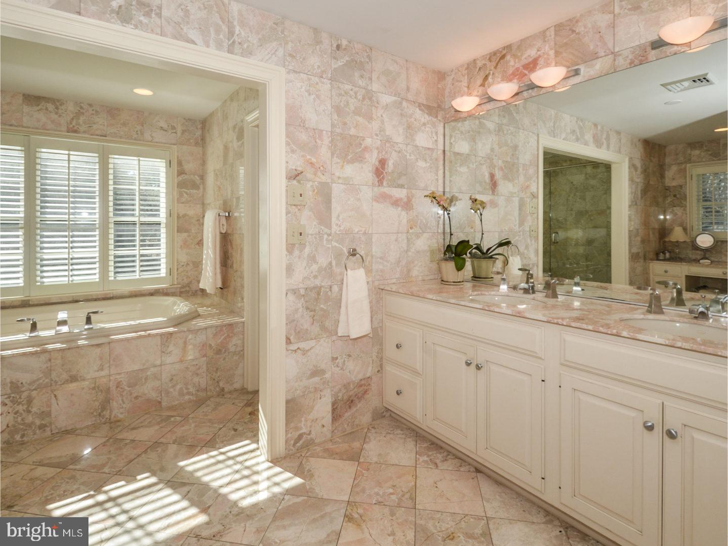 650 Morris Road Blue Bell, PA 19422 - Photo 16 of 25 Master Bathroom