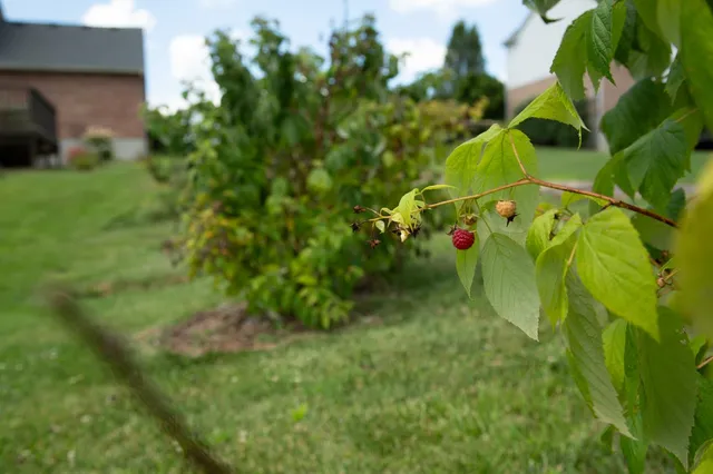 $429,900 | 5527 Berkshire Drive, Guilford, IN 47022