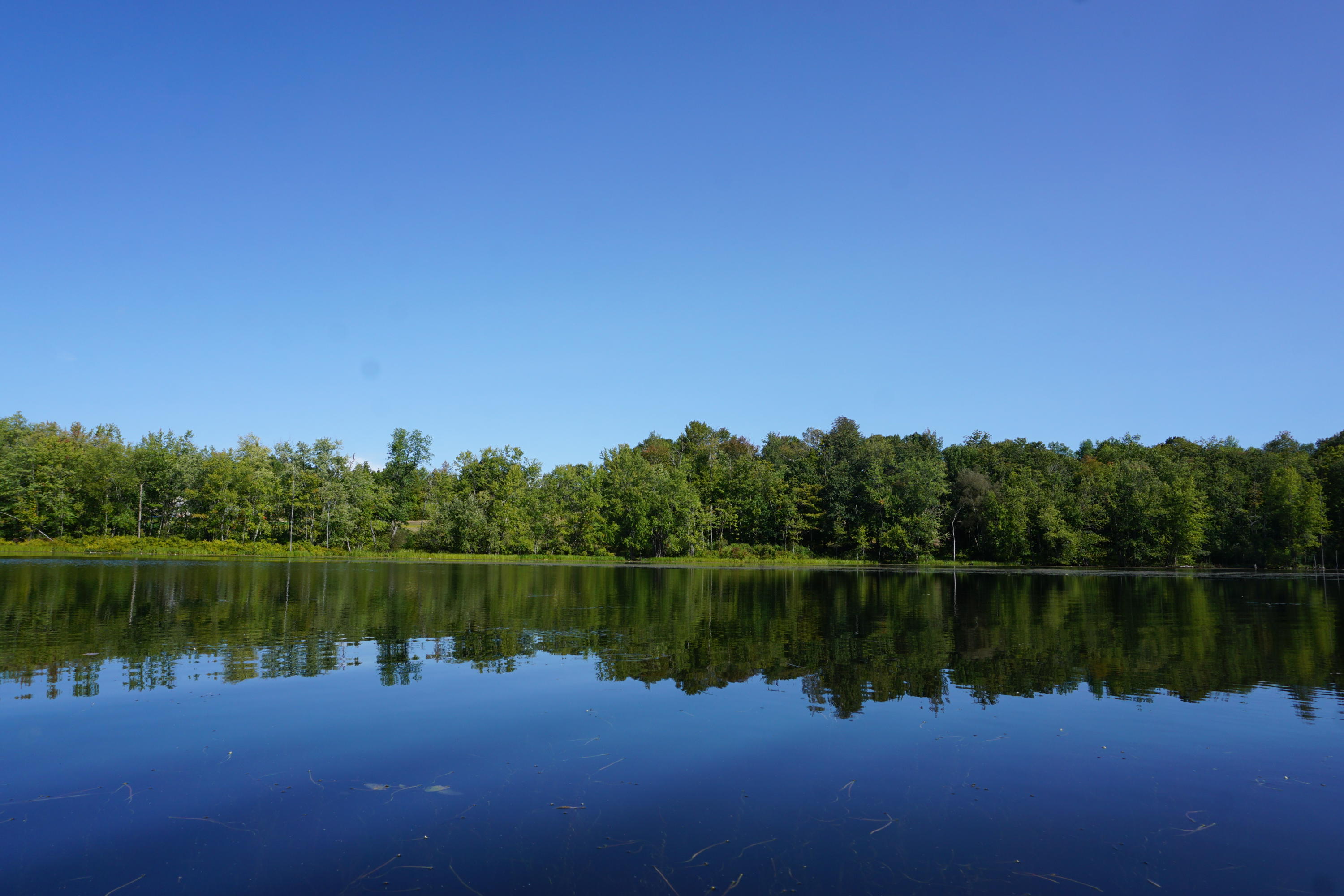 0 Lunts Hill Road Litchfield, ME 04350 - Photo 16 of 17 DSC03043