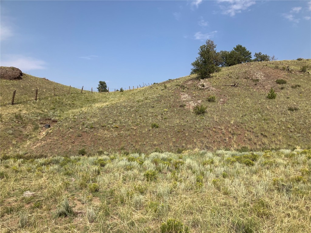 154 Milner Road Hartsel, CO 80449 - Photo 17 of 46 Gallery Image 17