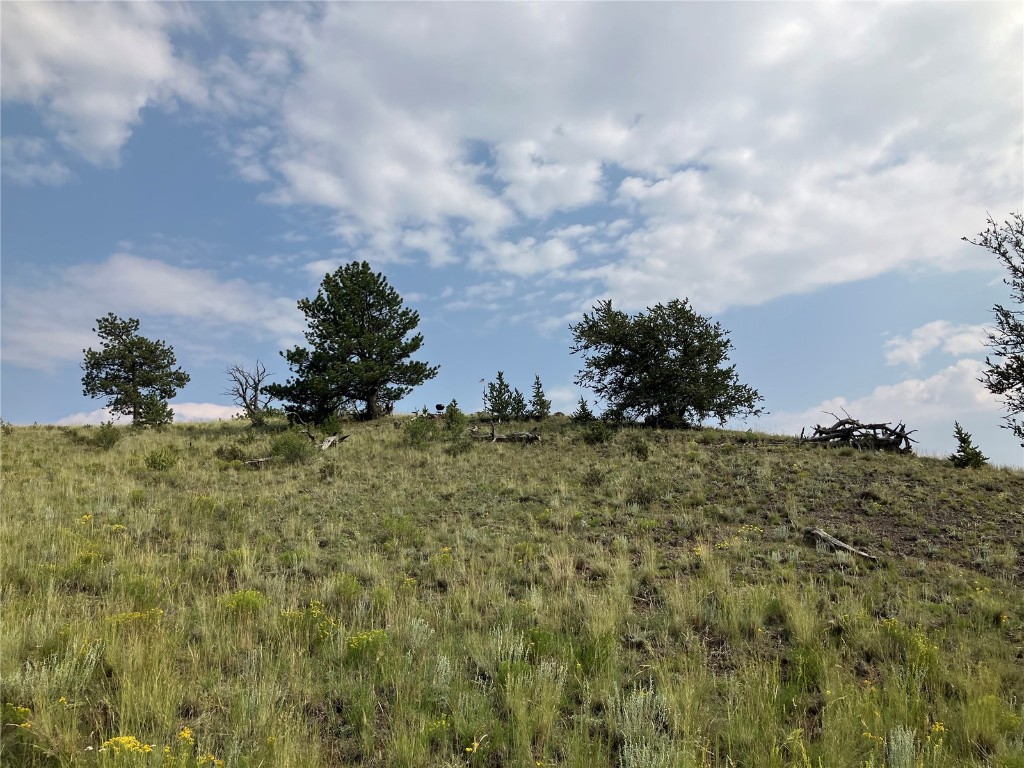 154 Milner Road Hartsel, CO 80449 - Photo 21 of 46 Gallery Image 21