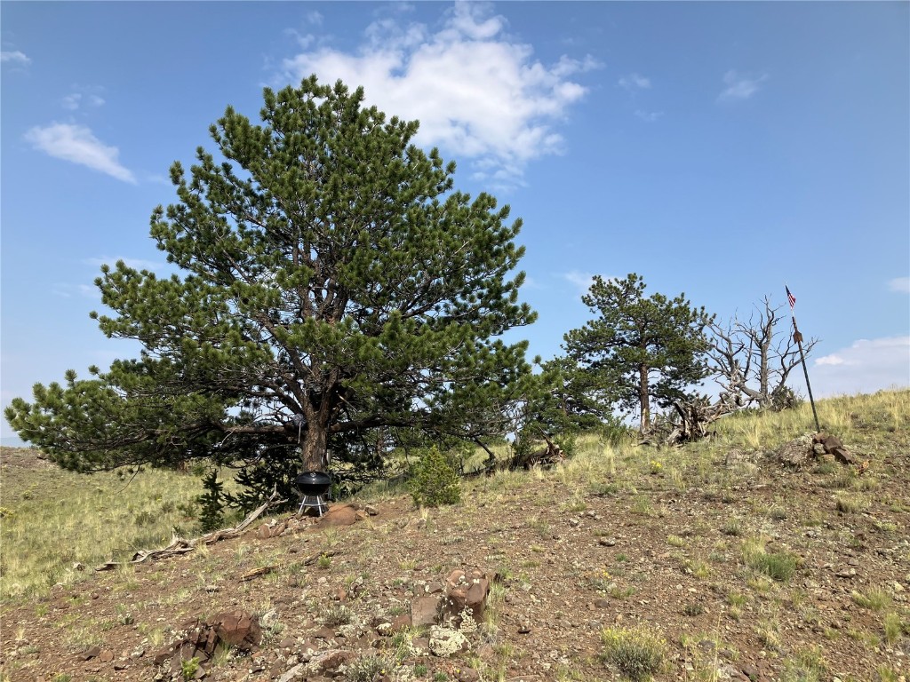 154 Milner Road Hartsel, CO 80449 - Photo 26 of 46 Gallery Image 26
