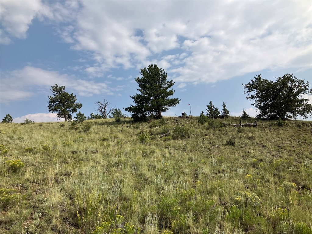 154 Milner Road Hartsel, CO 80449 - Photo 3 of 46 Gallery Image 3