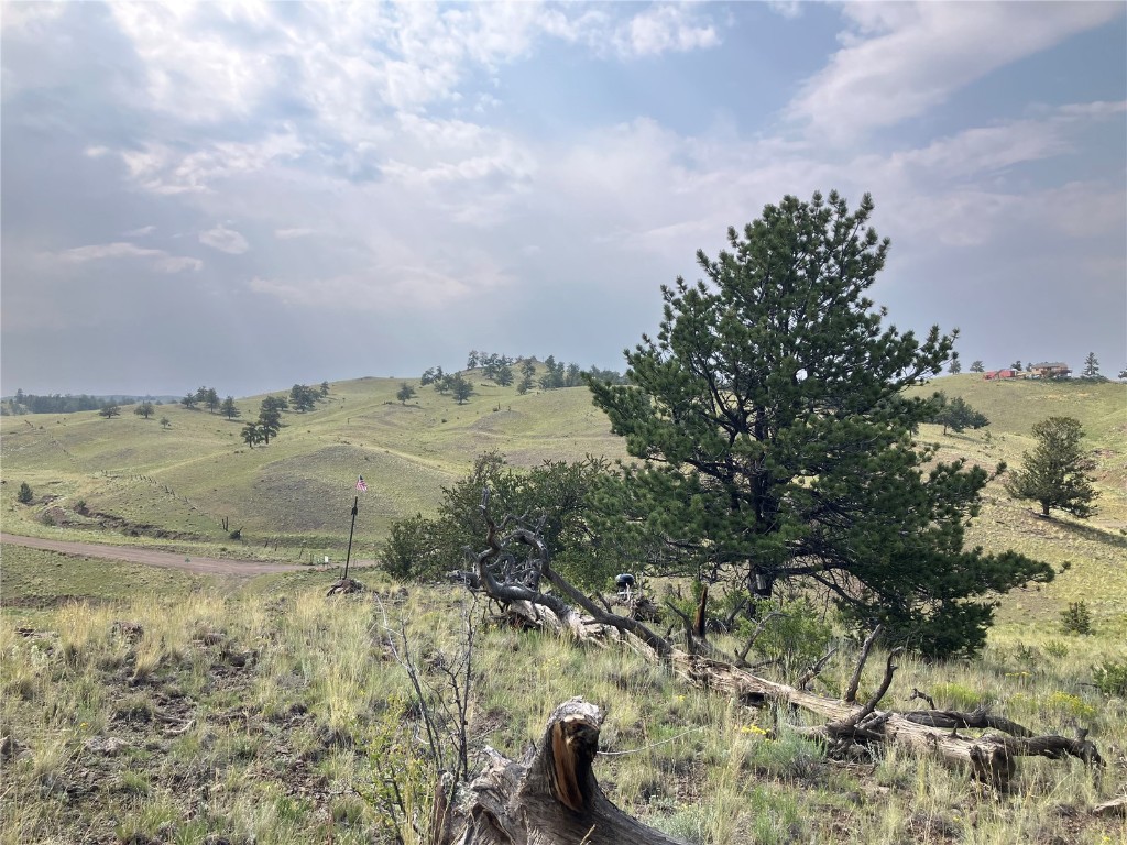 154 Milner Road Hartsel, CO 80449 - Photo 41 of 46 Gallery Image 41