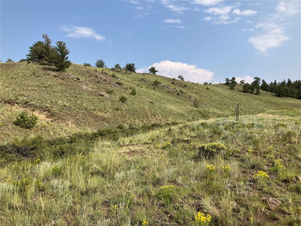 154 Milner Road Hartsel, CO 80449 - Photo 5 of 46 Gallery Image 5