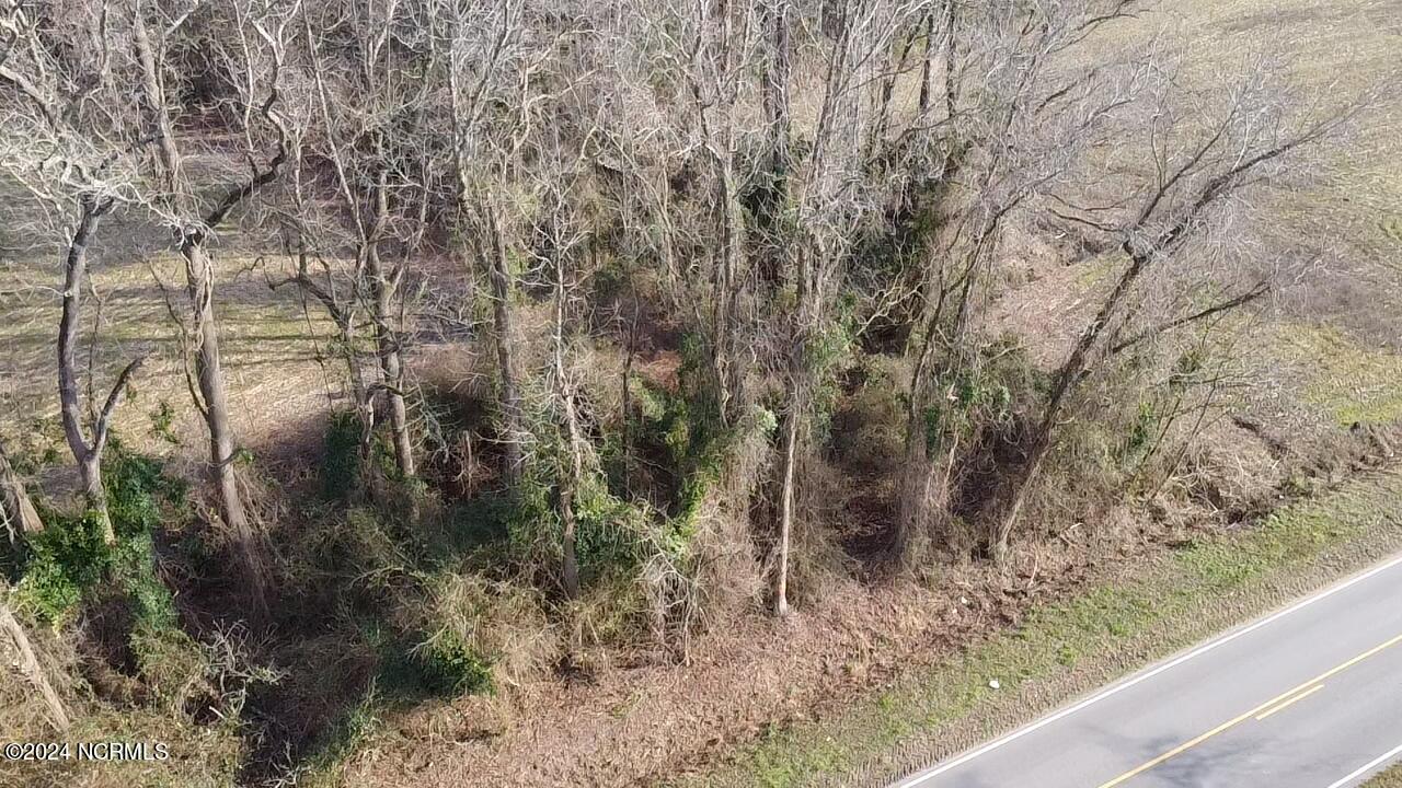 0 Doctors Creek Road Willard, NC 28478 - Photo 4 of 11 2024-02-02-15-16-22-578