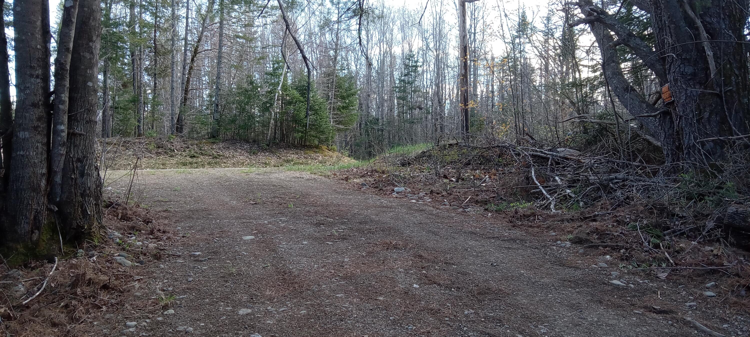 132 Village Road Jackson, ME 04921 - Photo 31 of 43 20240507_153144