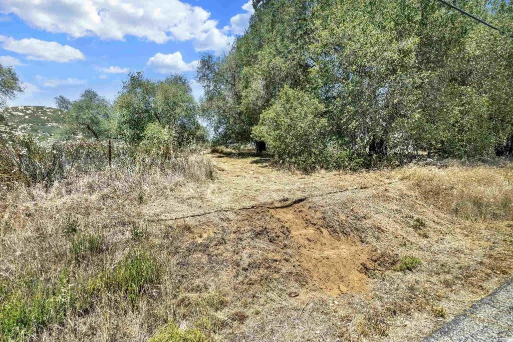 5 Honey Springs Road Jamul, CA 91935 - Photo 6 of 21