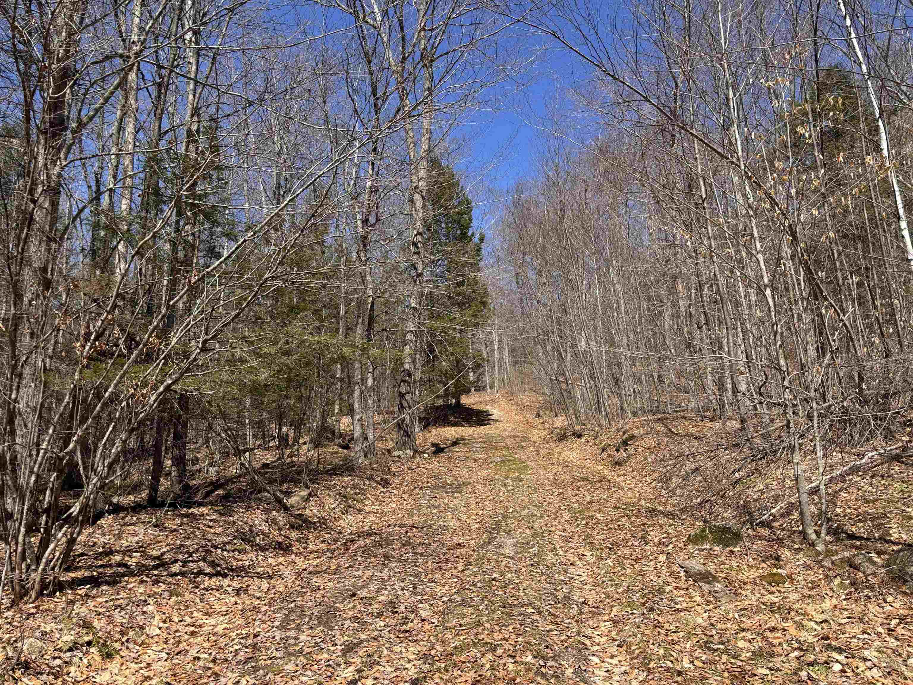 52 Duncan Road Hancock, NH 03449 - Photo 6 of 52 Gallery Image 6