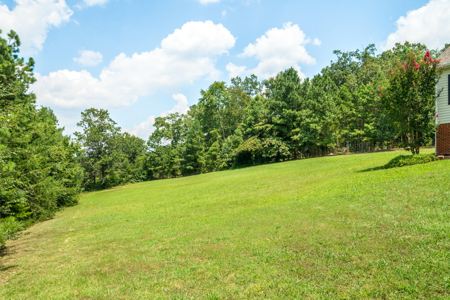 2883 Davis Ridge Road Ringgold, GA 30736 - Photo 8 of 26 2883_Davis_Ridge_Rd_08