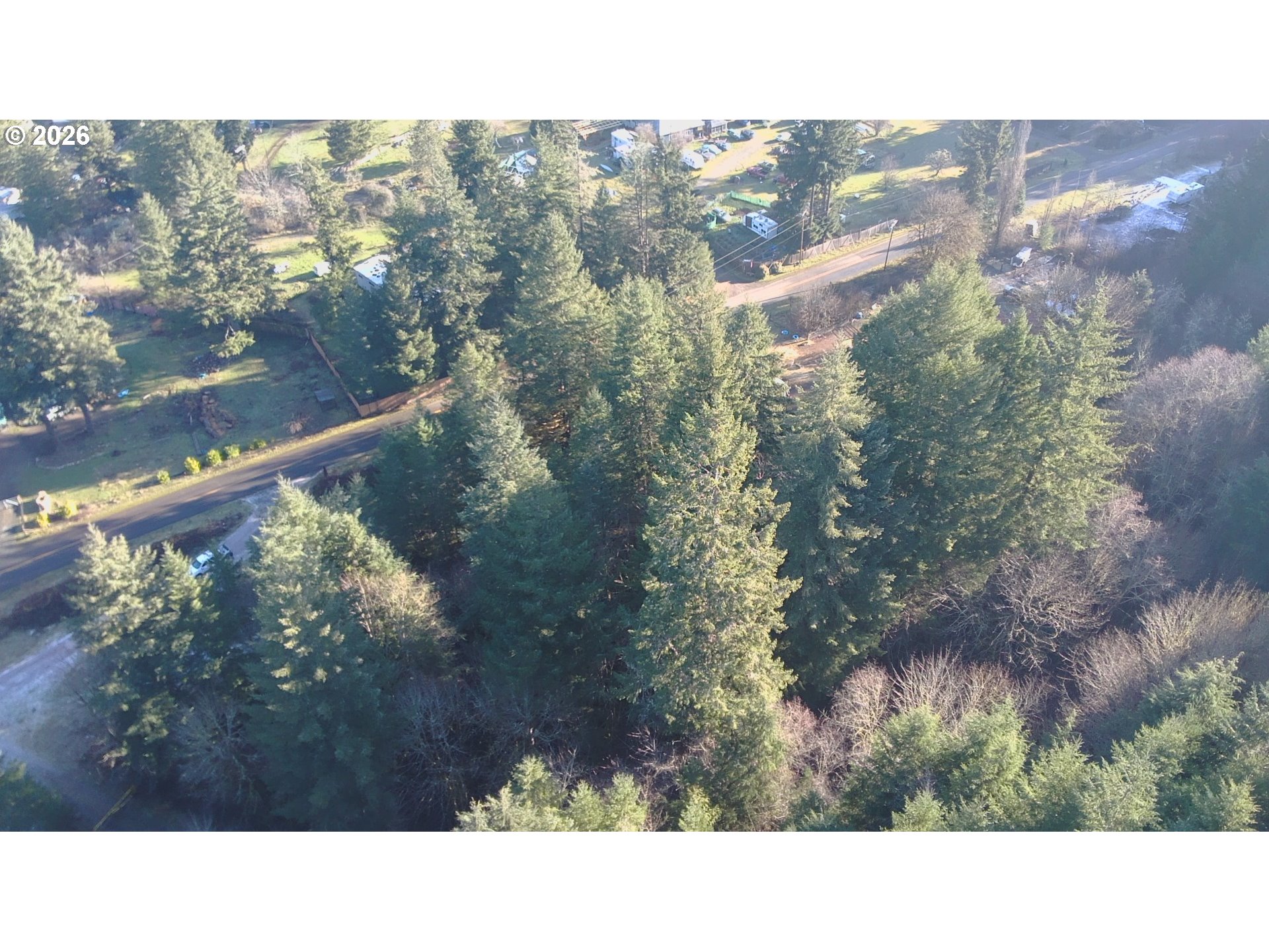 Brice Creek Road Dorena, OR 97434 - Photo 5 of 13