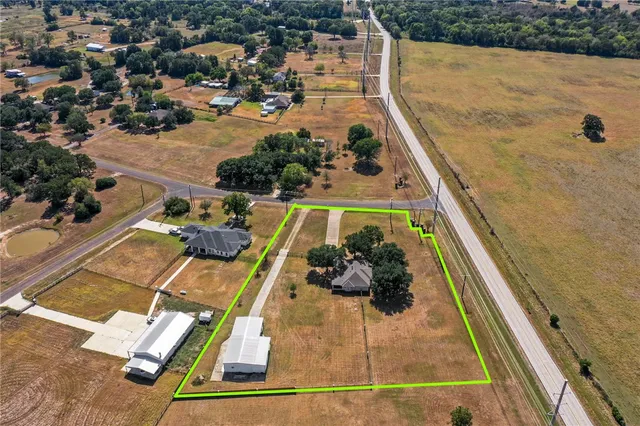 view of a potted plants