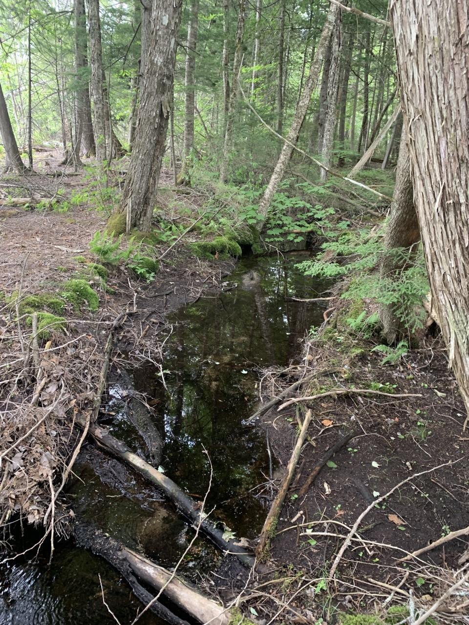 M120-l12 Winkumpaugh Road Ellsworth, ME 04605 - Photo 3 of 15 Brook