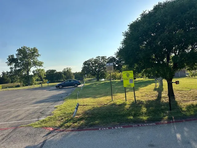 a view of a park with large trees