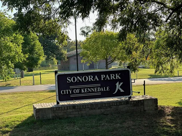a view of a park that has palm tree