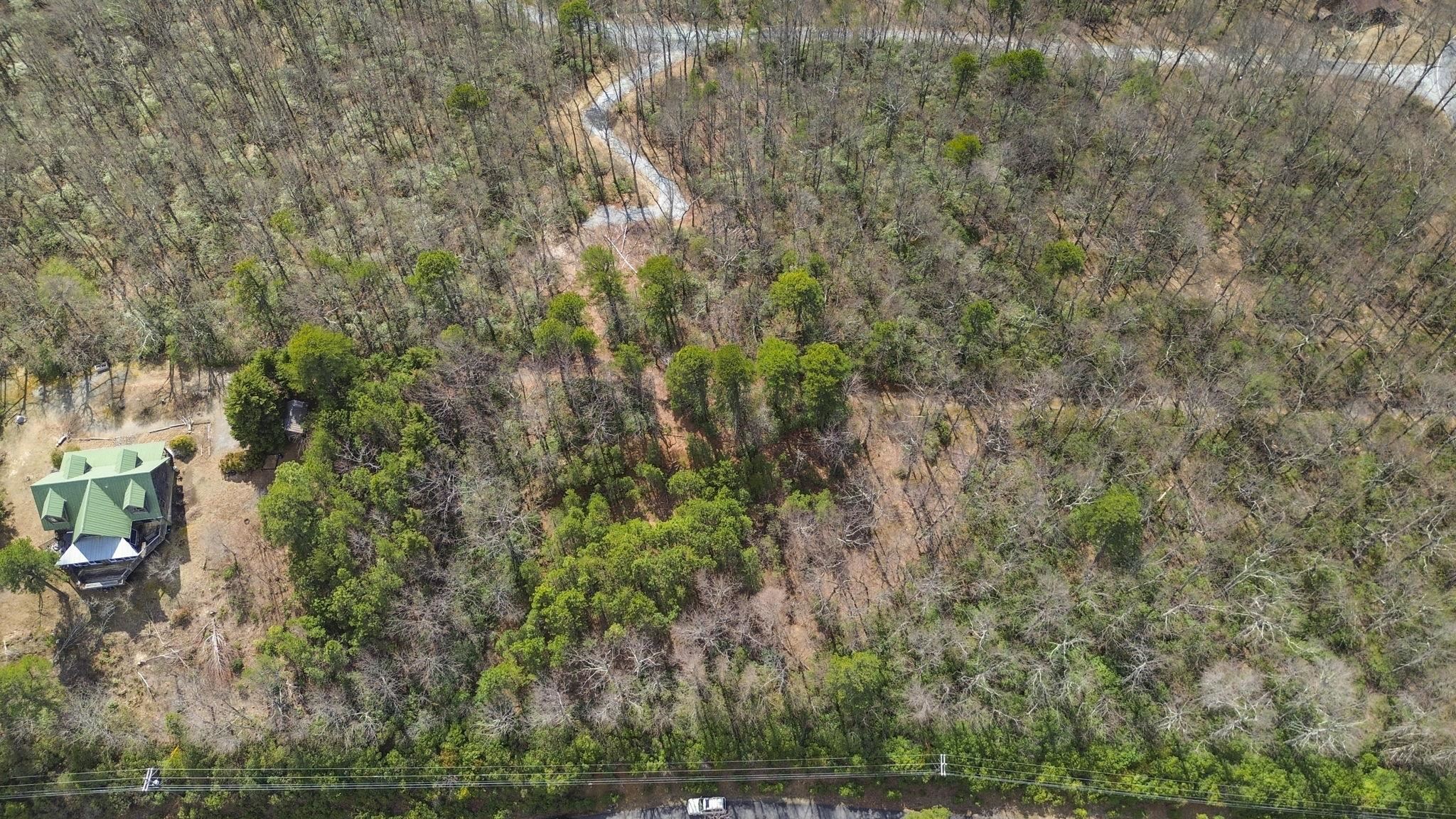Lot 9 Sunset Ridge Drive Columbus, NC 28722 - Photo 13 of 19