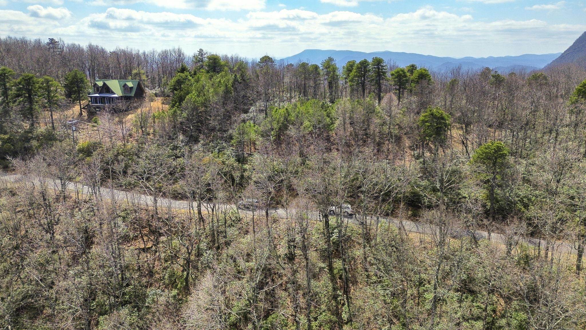 Lot 9 Sunset Ridge Drive Columbus, NC 28722 - Photo 3 of 19