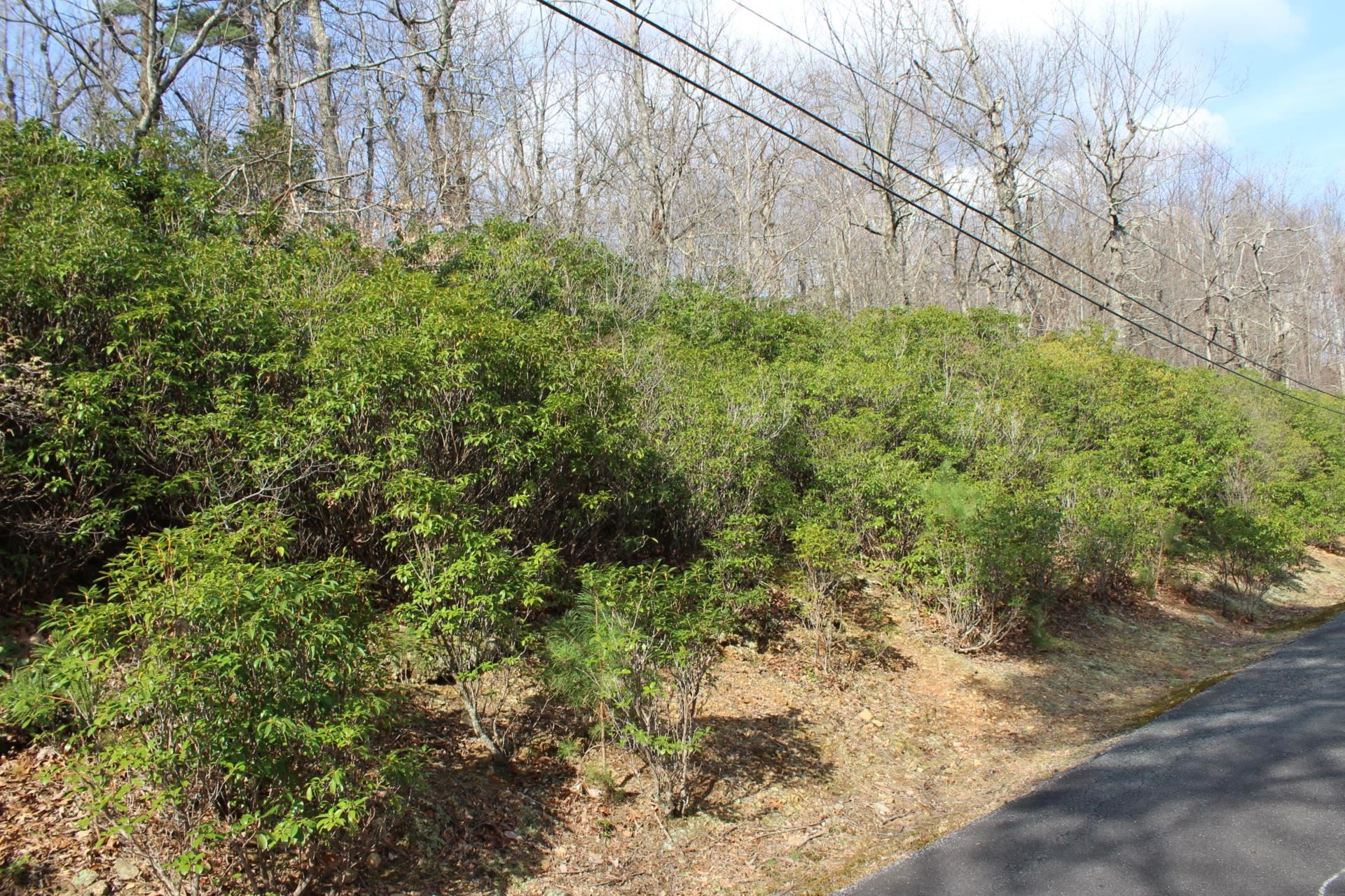 Lot 9 Sunset Ridge Drive Columbus, NC 28722 - Photo 4 of 19