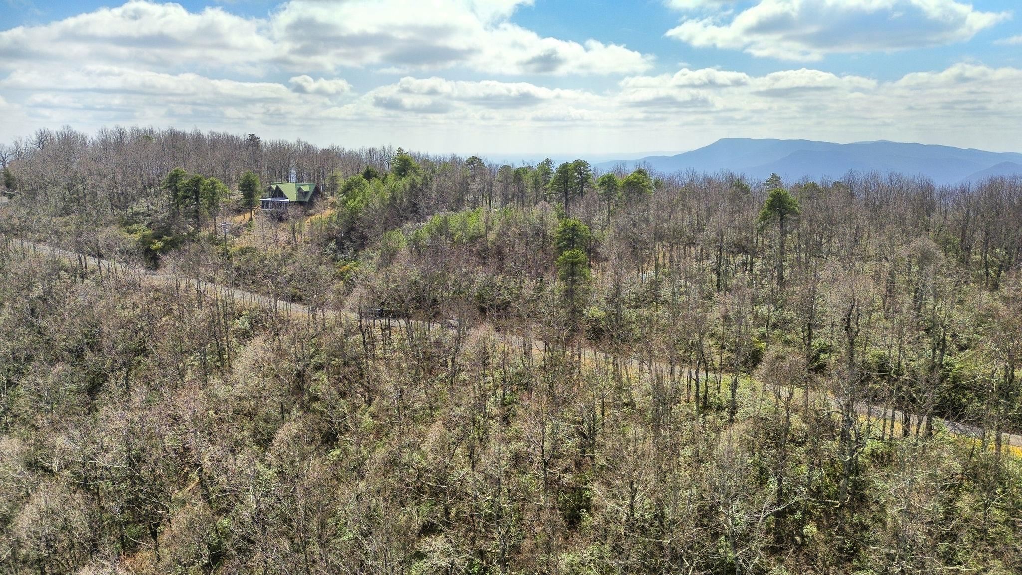 Lot 9 Sunset Ridge Drive Columbus, NC 28722 - Photo 5 of 19