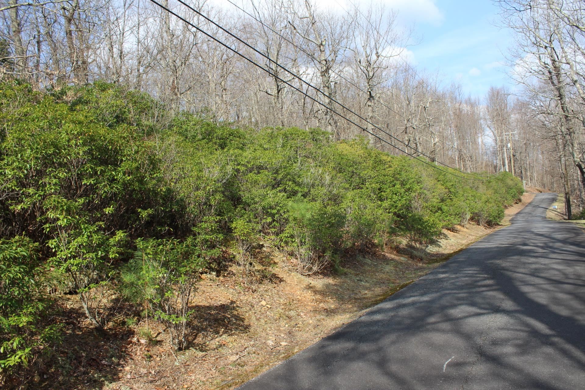 Lot 9 Sunset Ridge Drive Columbus, NC 28722 - Photo 6 of 19