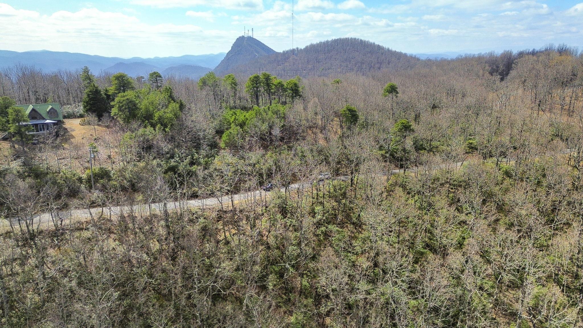 Lot 9 Sunset Ridge Drive Columbus, NC 28722 - Photo 7 of 19