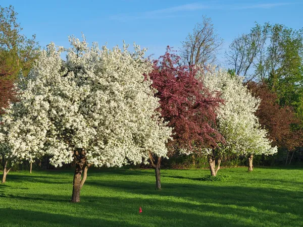 $575,000 | 1051 100th Avenue, Unit H, Amery, WI 54001