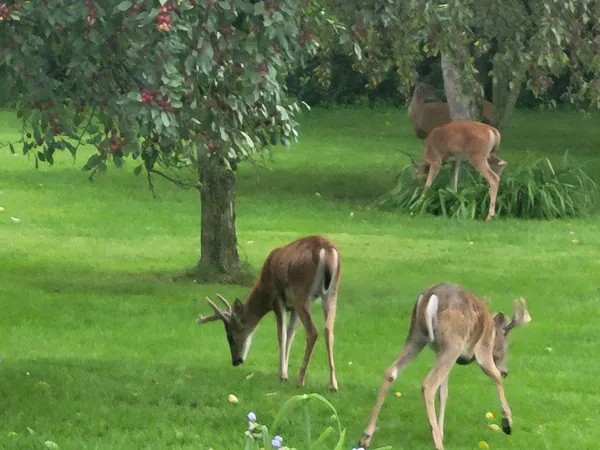 $575,000 | 1051 100th Avenue, Unit H, Amery, WI 54001