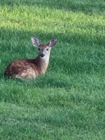 $575,000 | 1051 100th Avenue, Unit H, Amery, WI 54001