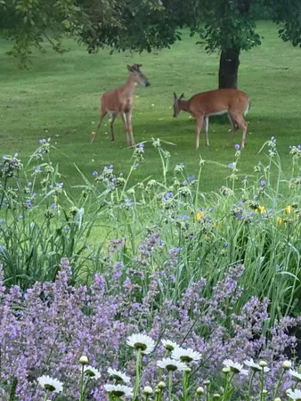 $575,000 | 1051 100th Avenue, Unit H, Amery, WI 54001