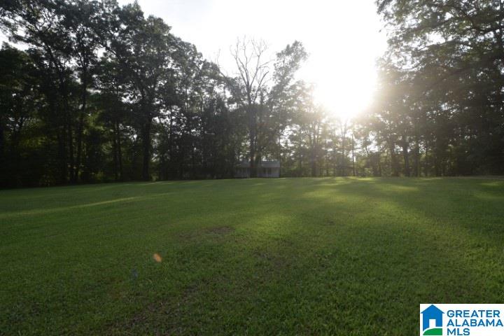 8574 Cardinal Lane Morris, AL 35116 - Photo 37 of 41