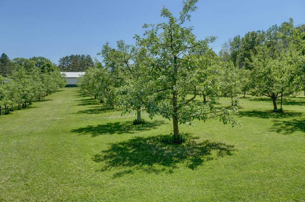 654 115th Street Amery, WI 54001 - Photo 80 of 106