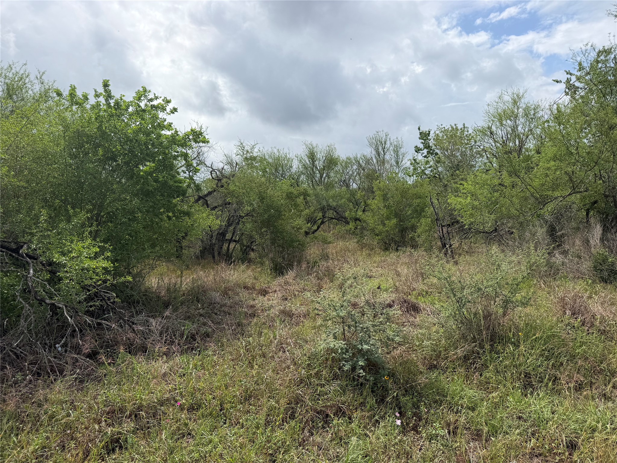 9 Love Road Victoria, TX 77904 - Photo 20 of 20 Gallery Image 20
