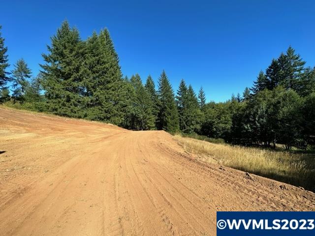 526258 Southwest Pumpkinseed Road Willamina, OR 97396 - Photo 10 of 24