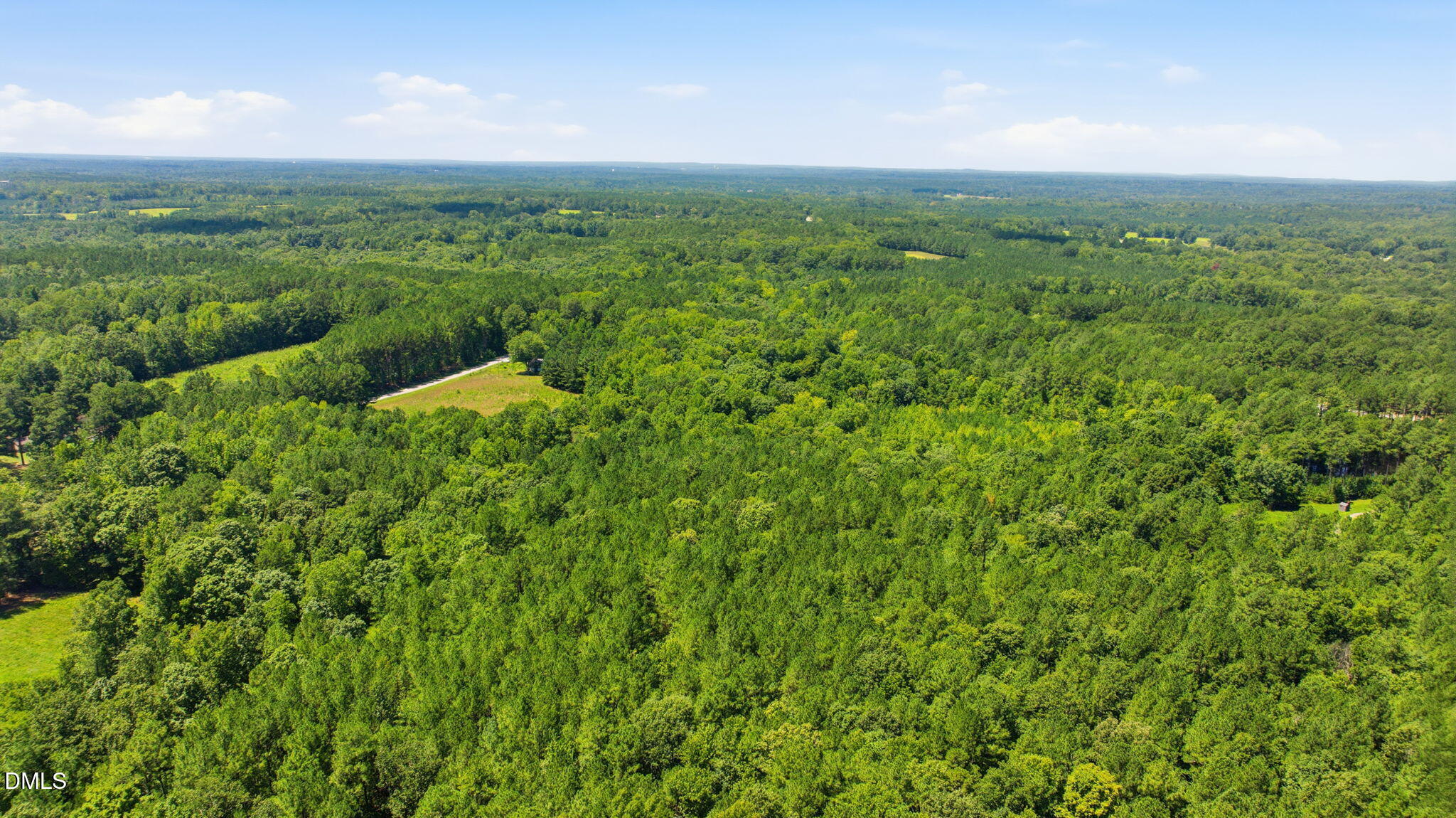 2525 Hester Road Creedmoor, NC 27522 - Photo 11 of 16 10-web-or-mls-DJI_0374
