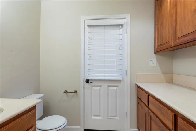 a view of a park with plants and trees