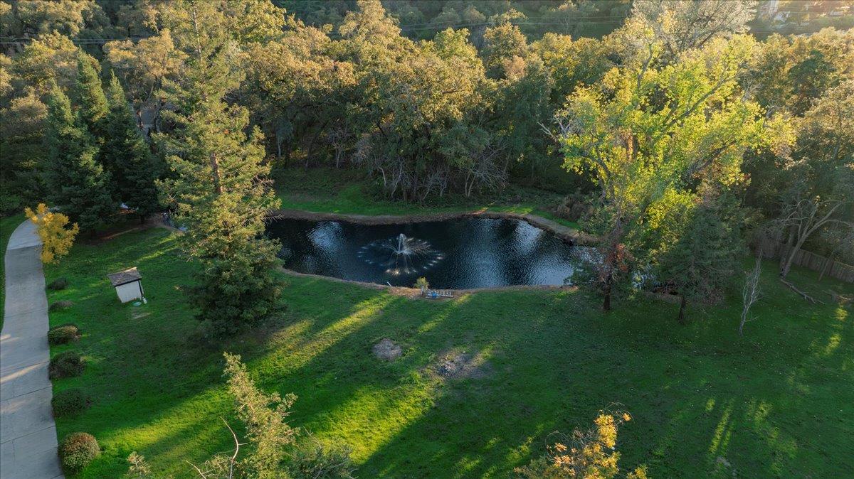 8501 King Road Loomis, CA 95650 - Photo 4 of 89