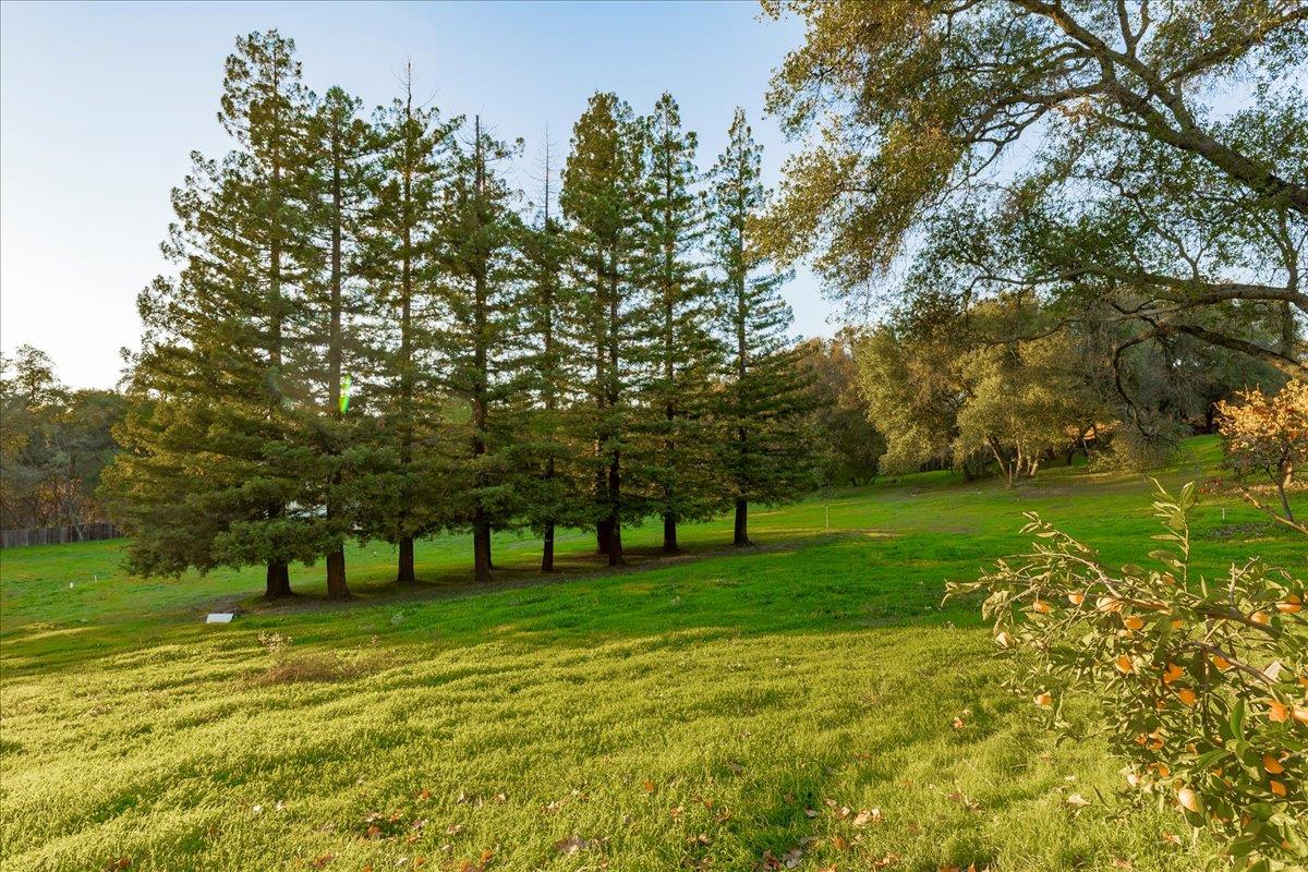 8501 King Road Loomis, CA 95650 - Photo 48 of 89