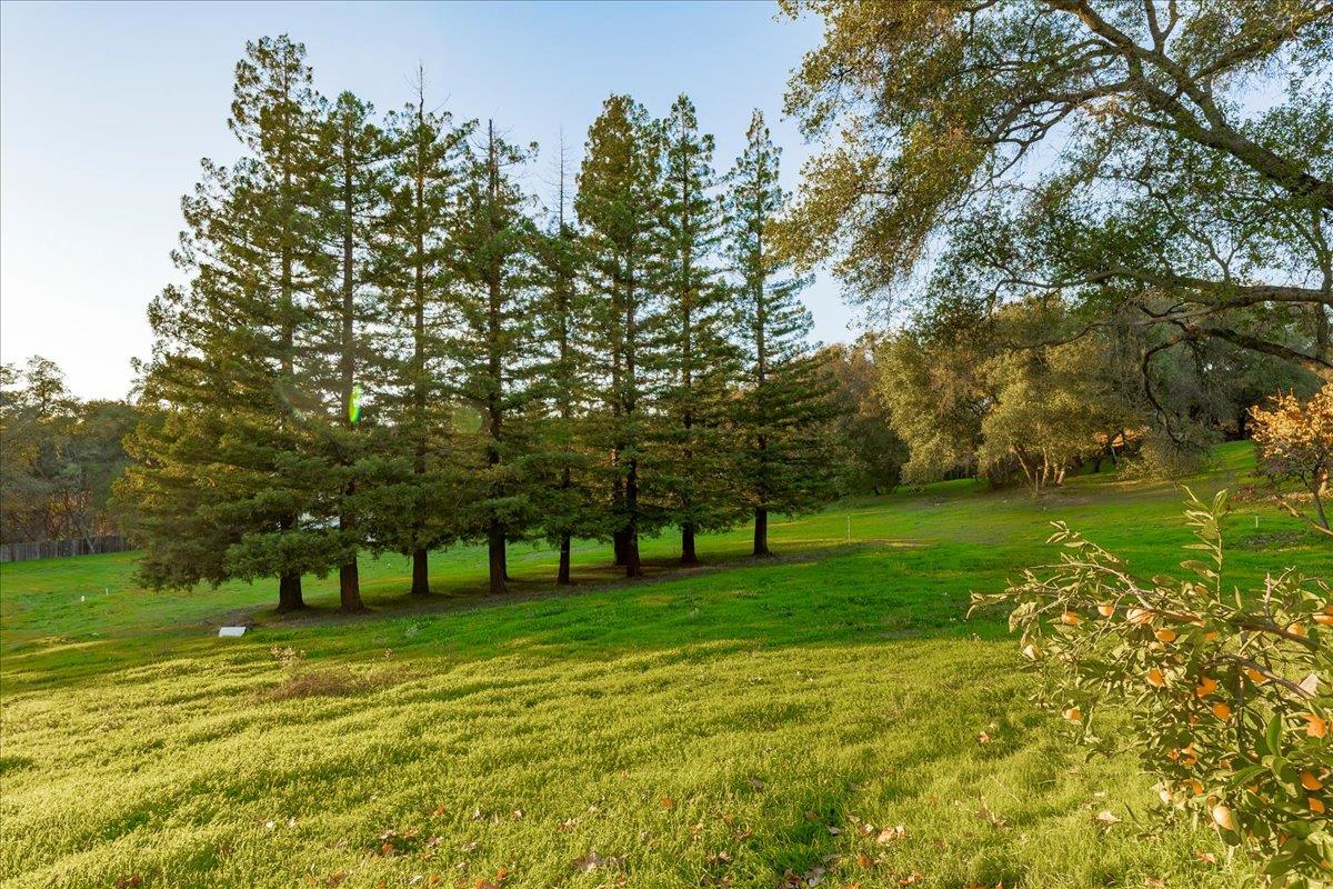 8501 King Road Loomis, CA 95650 - Photo 49 of 89