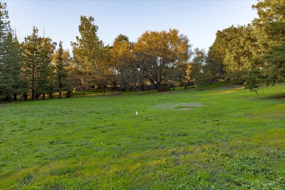 8501 King Road Loomis, CA 95650 - Photo 58 of 89