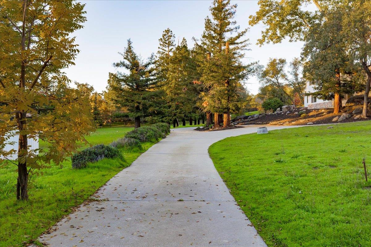 8501 King Road Loomis, CA 95650 - Photo 70 of 89 a view of a park with plants and trees