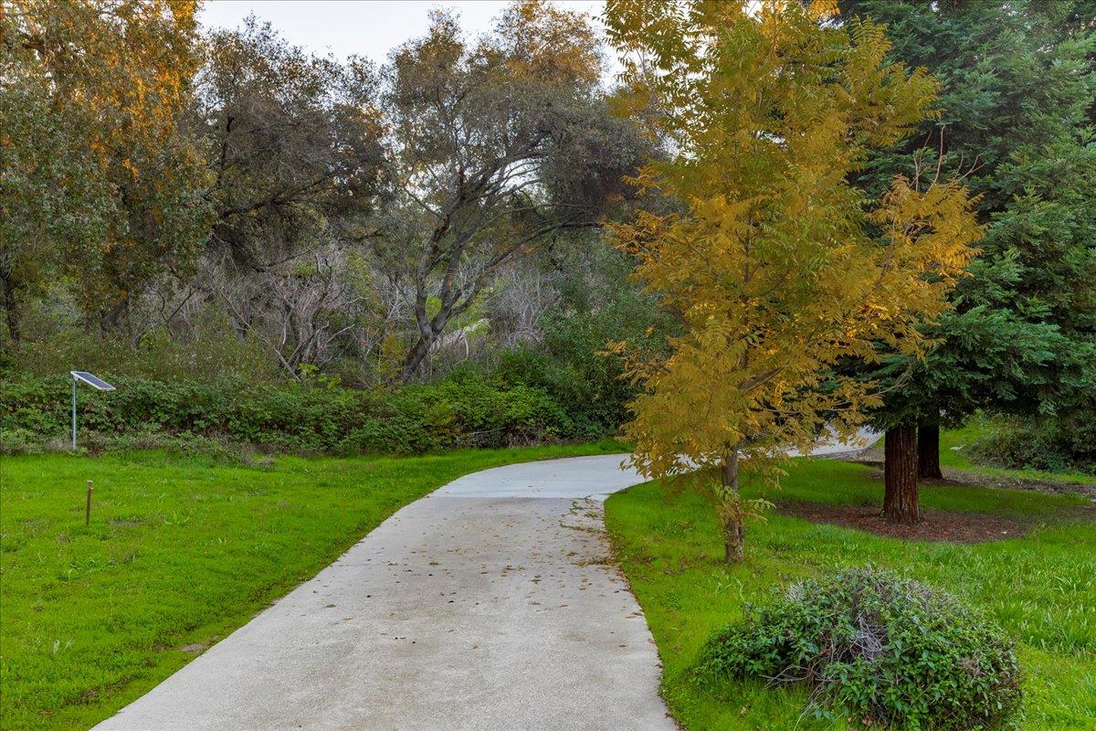 8501 King Road Loomis, CA 95650 - Photo 72 of 89 a view of a street both of side forest