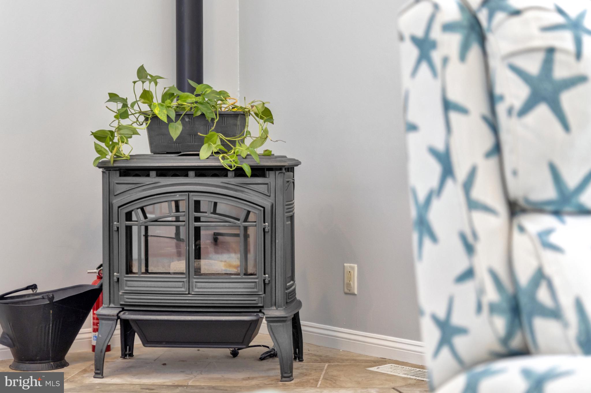 16132 Hudson Road Milton, DE 19968 - Photo 42 of 108 Pellet stove in living room