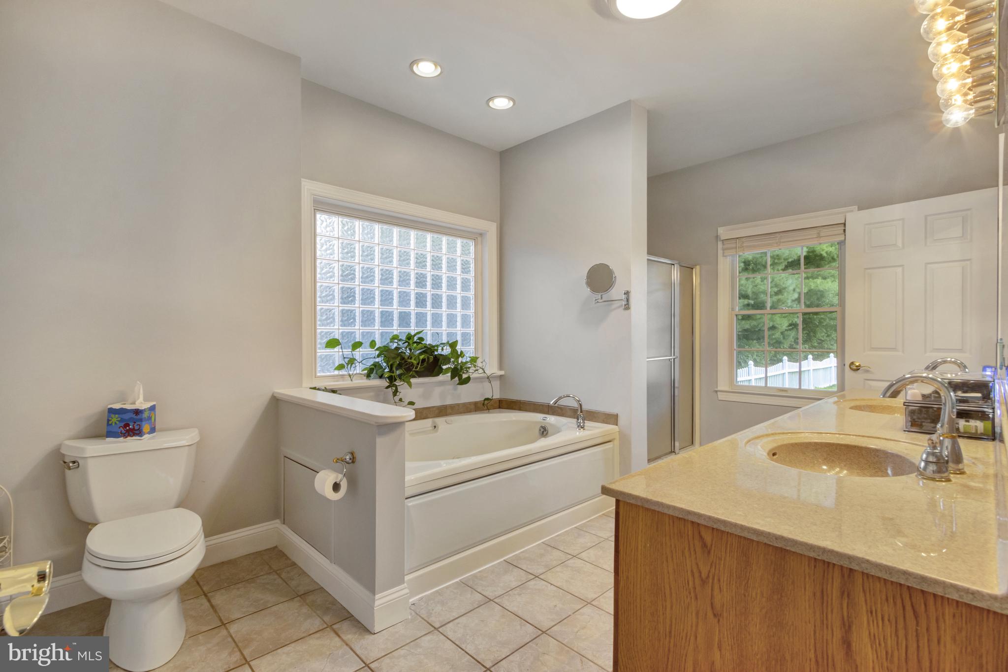 16132 Hudson Road Milton, DE 19968 - Photo 52 of 108 Primary bathroom